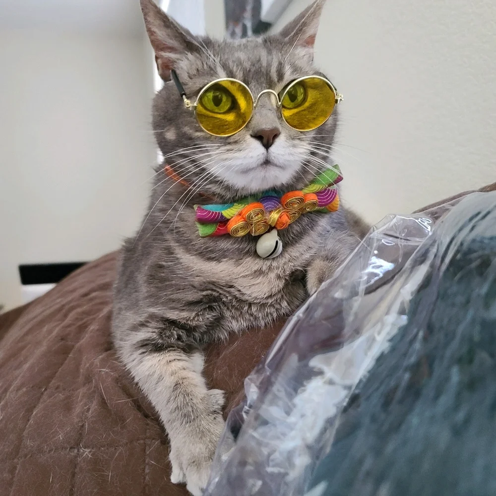 Small size cat/ small dog custom eye glasses and Qing dynasty Chinese outfit